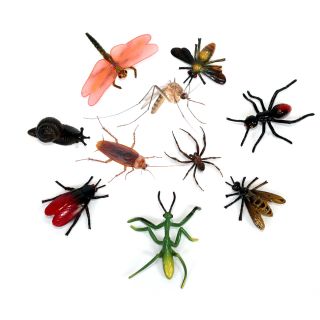 Allontana tutti gli insetti