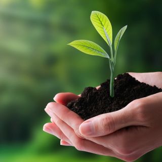 Protezione duratura ed ecologica