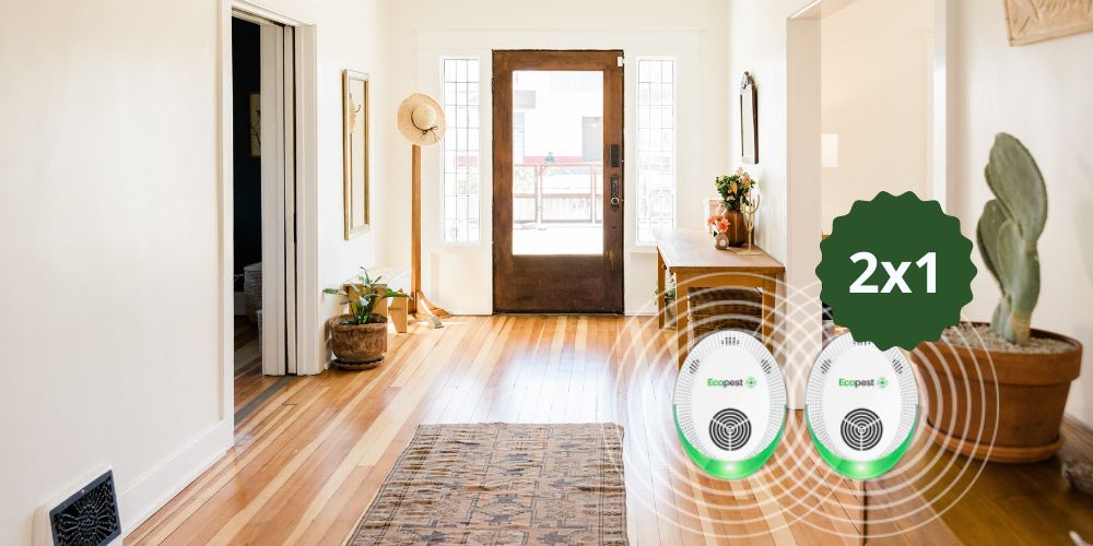 EcoPest Italia Sito Ufficiale 